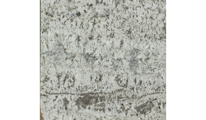 Enchanted Forest Granite