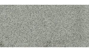 Bengal White Granite