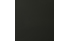 Calacatta Botanica Quartz