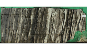 Sequoia Brown Quartzite