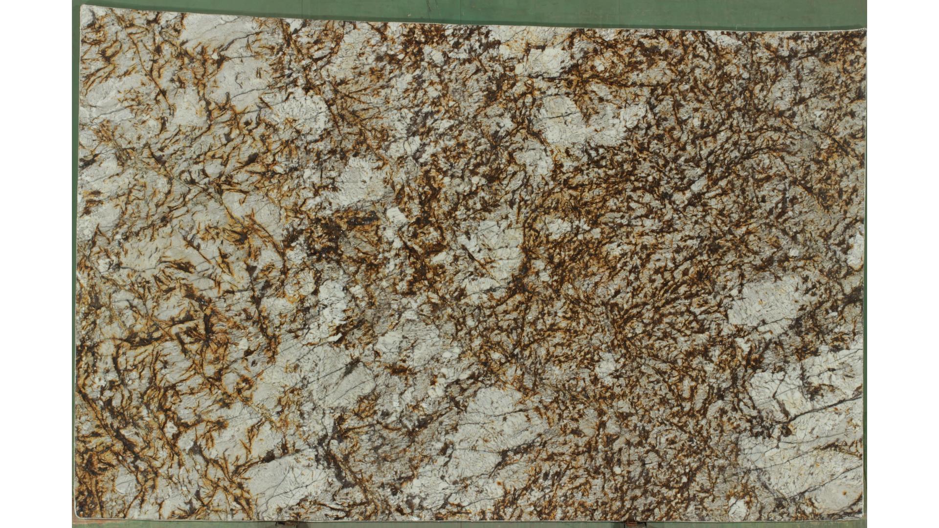 Brown Persa Granite Slabs
