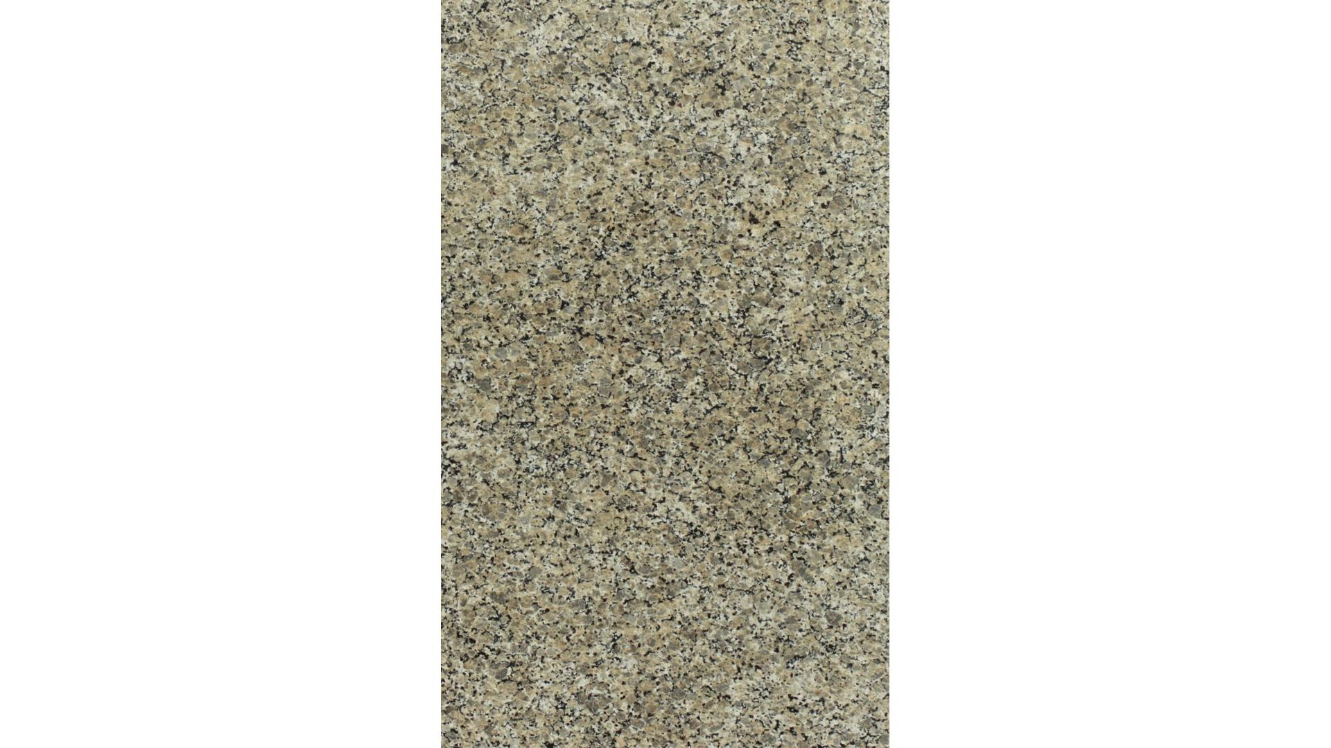 Beige Butterfly Granite Slabs