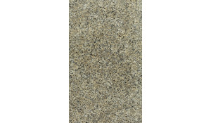 Beige Butterfly Granite