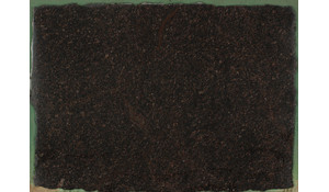 Tan Brown Granite