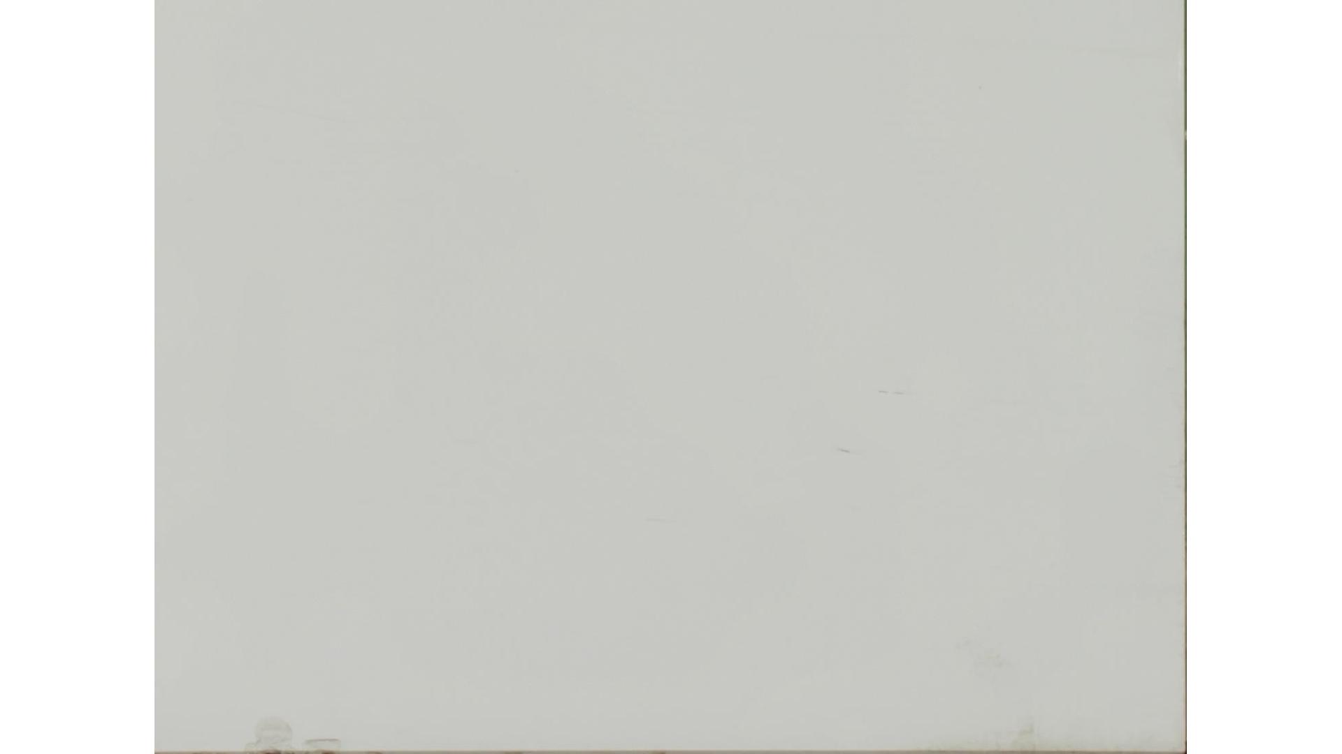 White Zeus Quartz Slabs