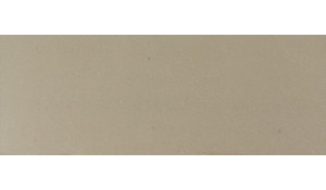 Silestone Coral Clay Color
