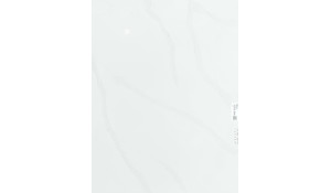 Calacatta Plata Quartz