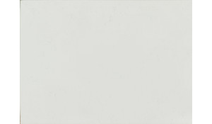 Calacatta Vicenza Quartz