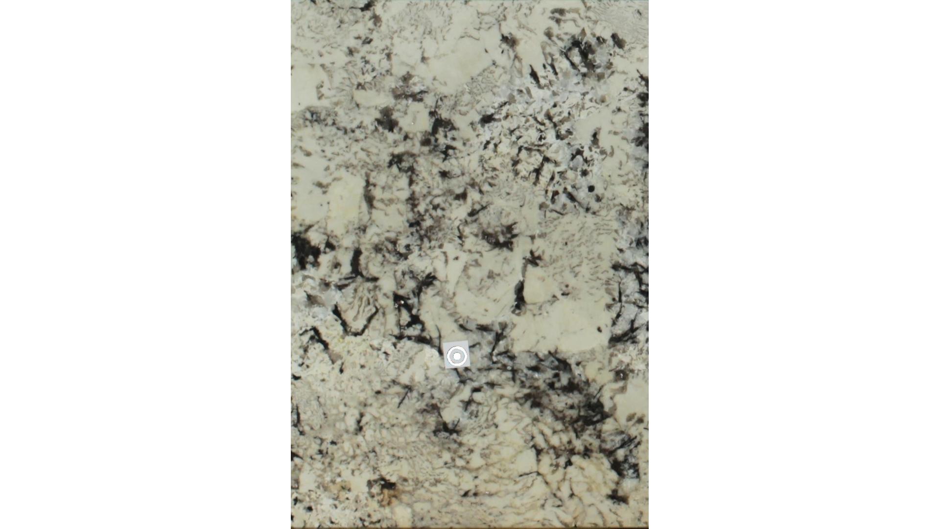 Delicatus White Granite Slabs