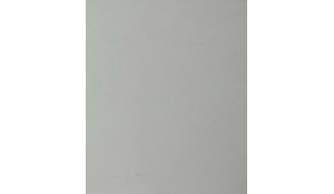 Calacatta Botanica Quartz