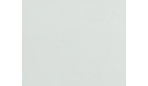 Calacatta Botanica Quartz