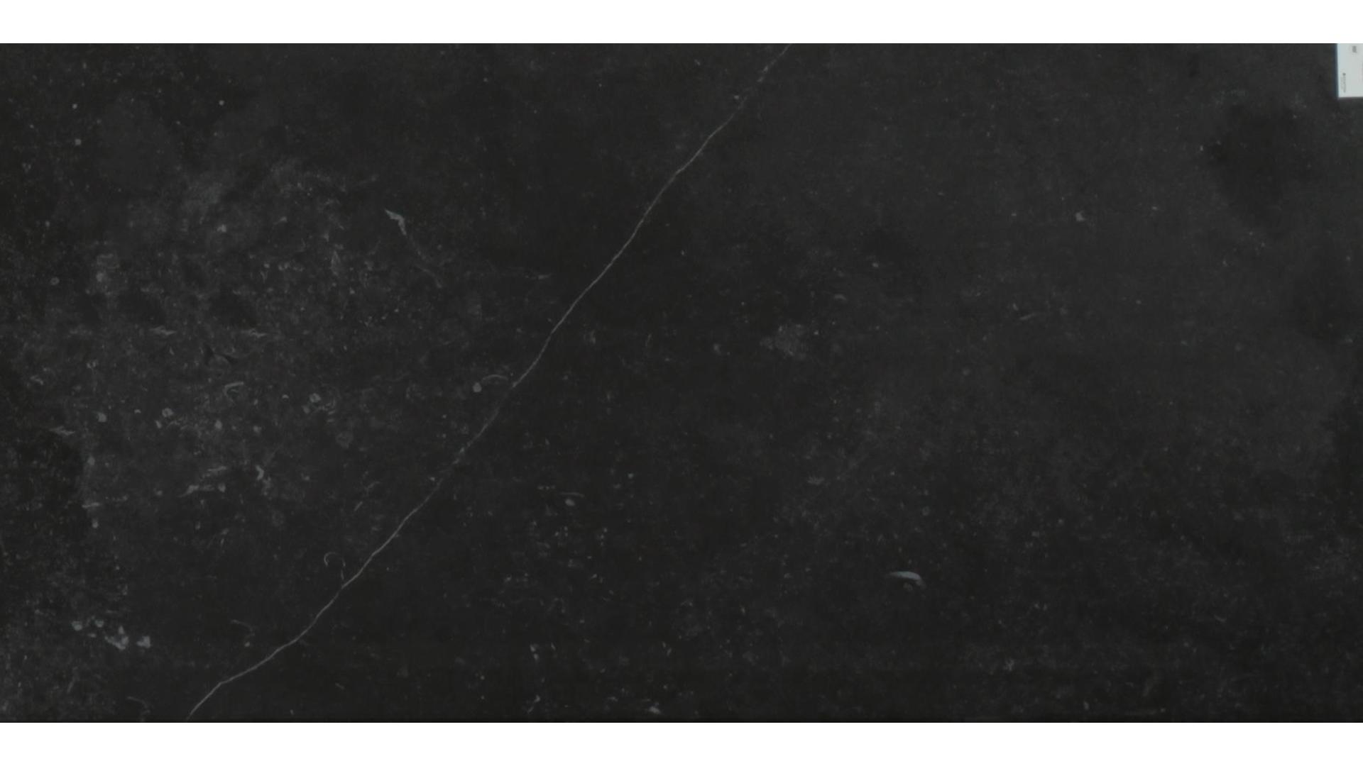Fossil Porcelain Slabs