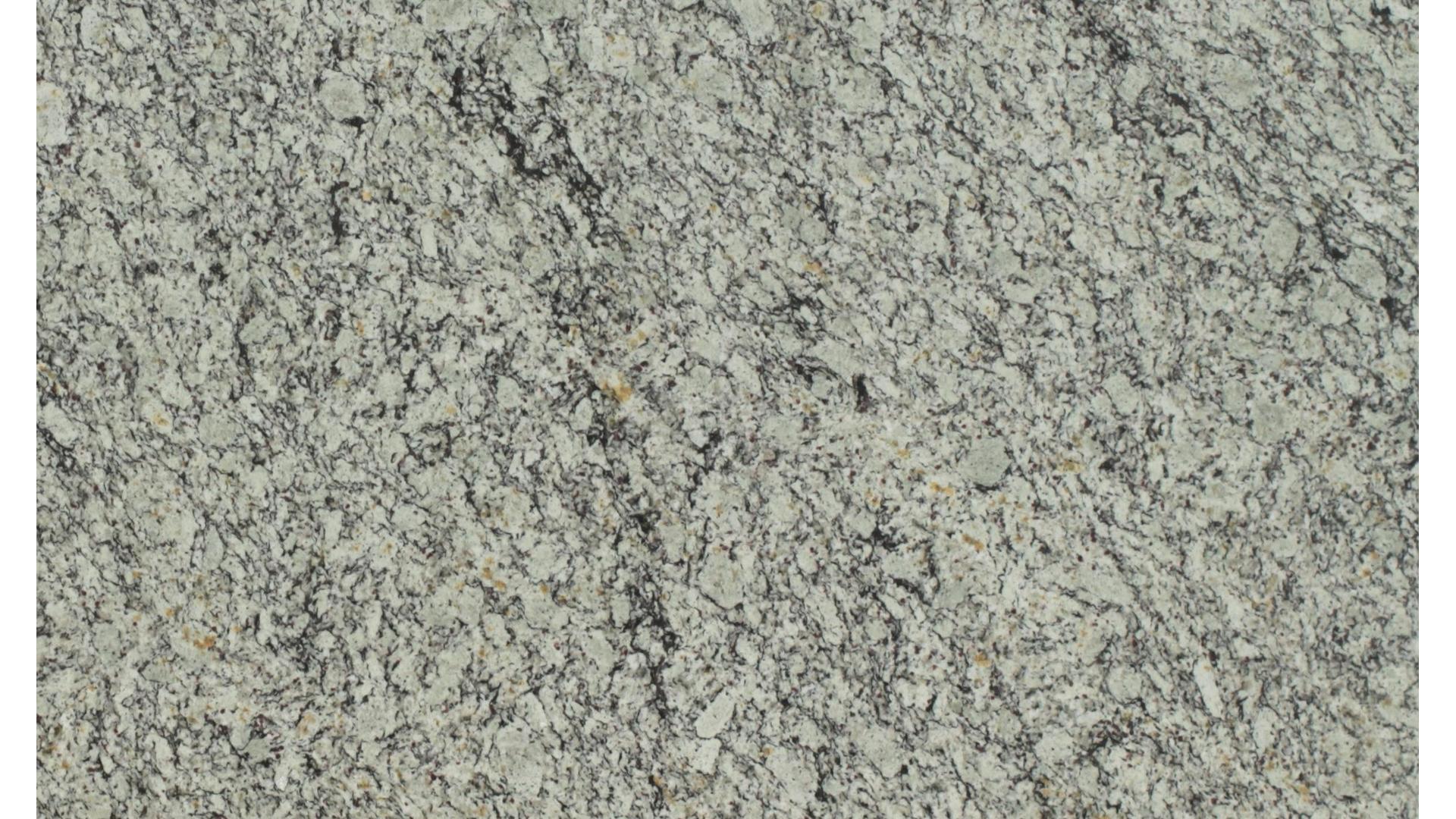 Bianco Frost Granite Slabs