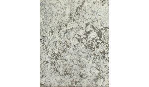 Gray Nuevo Granite