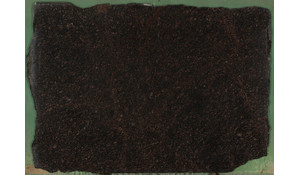 Tan Brown Granite