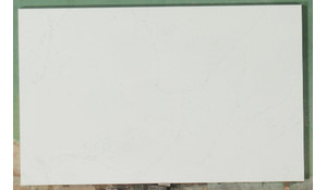 Calacatta Botanica Quartz