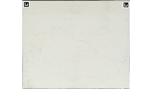 Calacatta Botanica Quartz