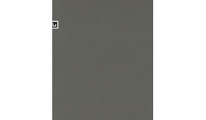 Grey Expo Quartz
