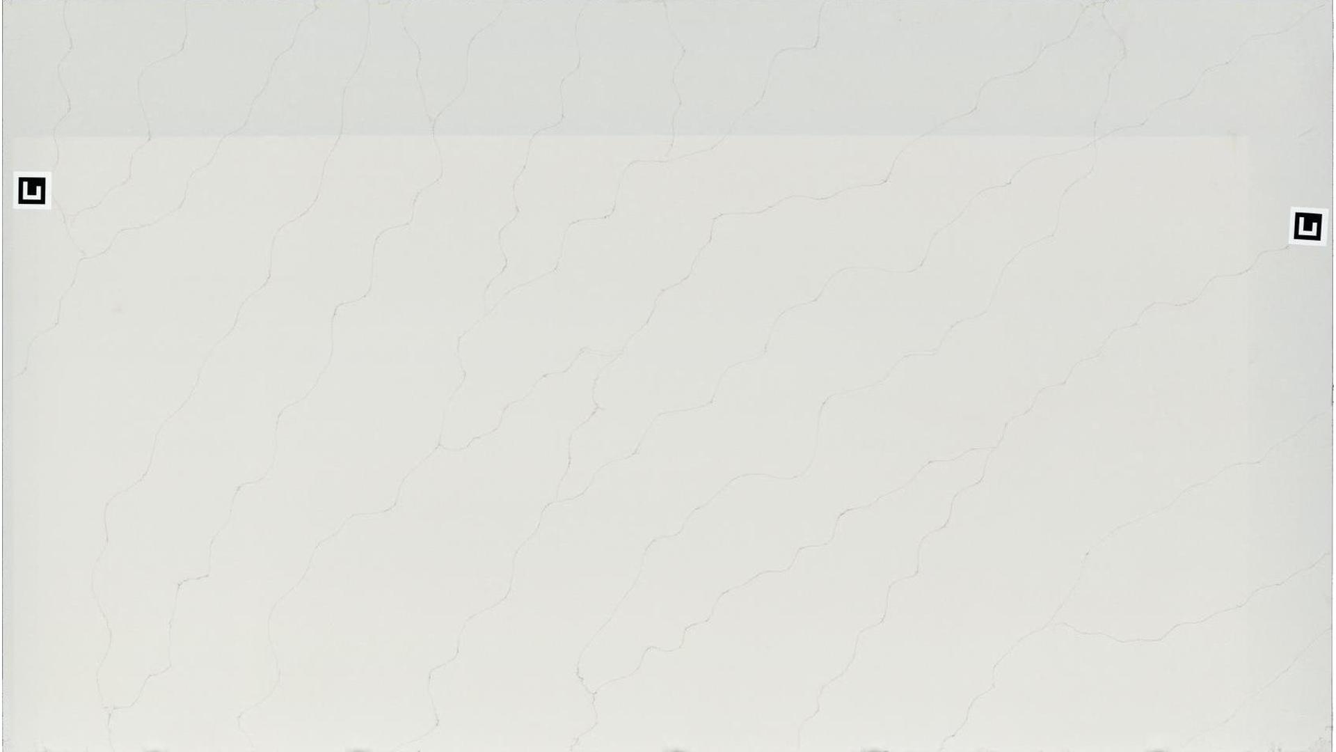 Calacatta Duolina Porcelain Slabs