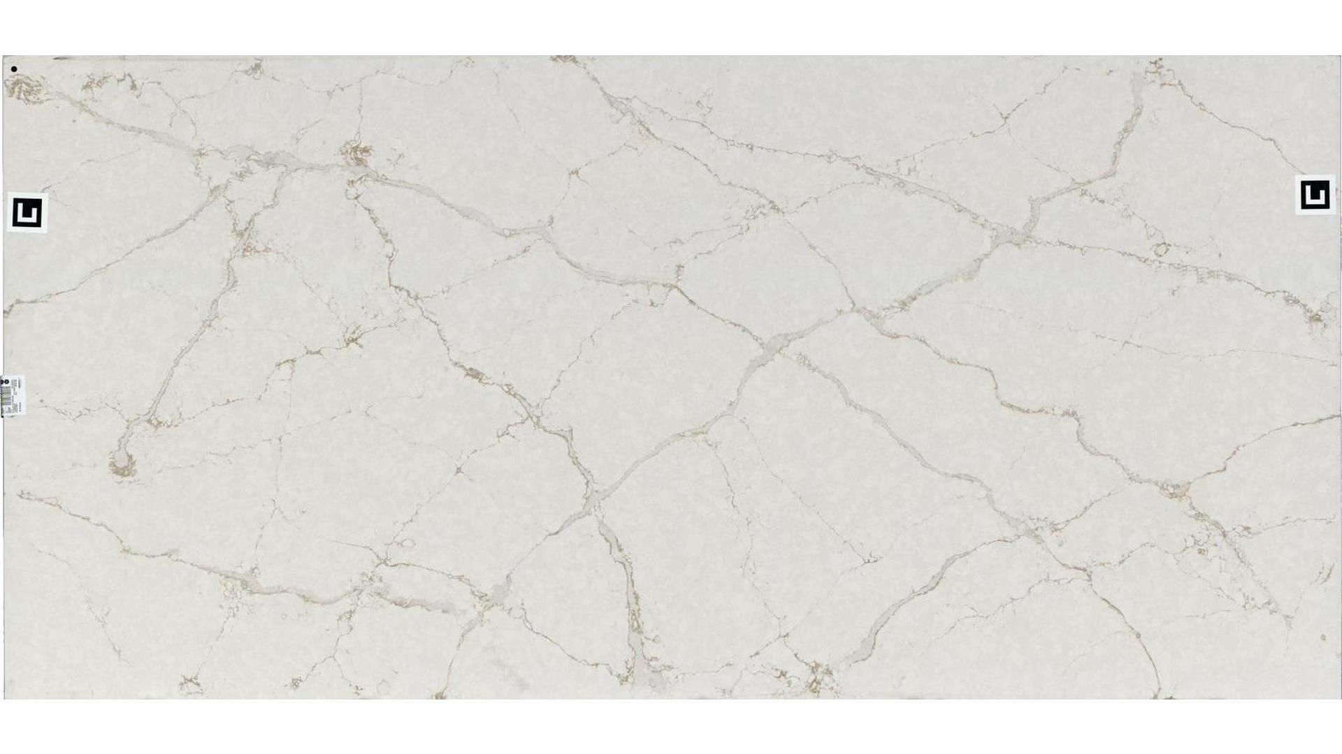 Blanc Elysee Quartz Slabs