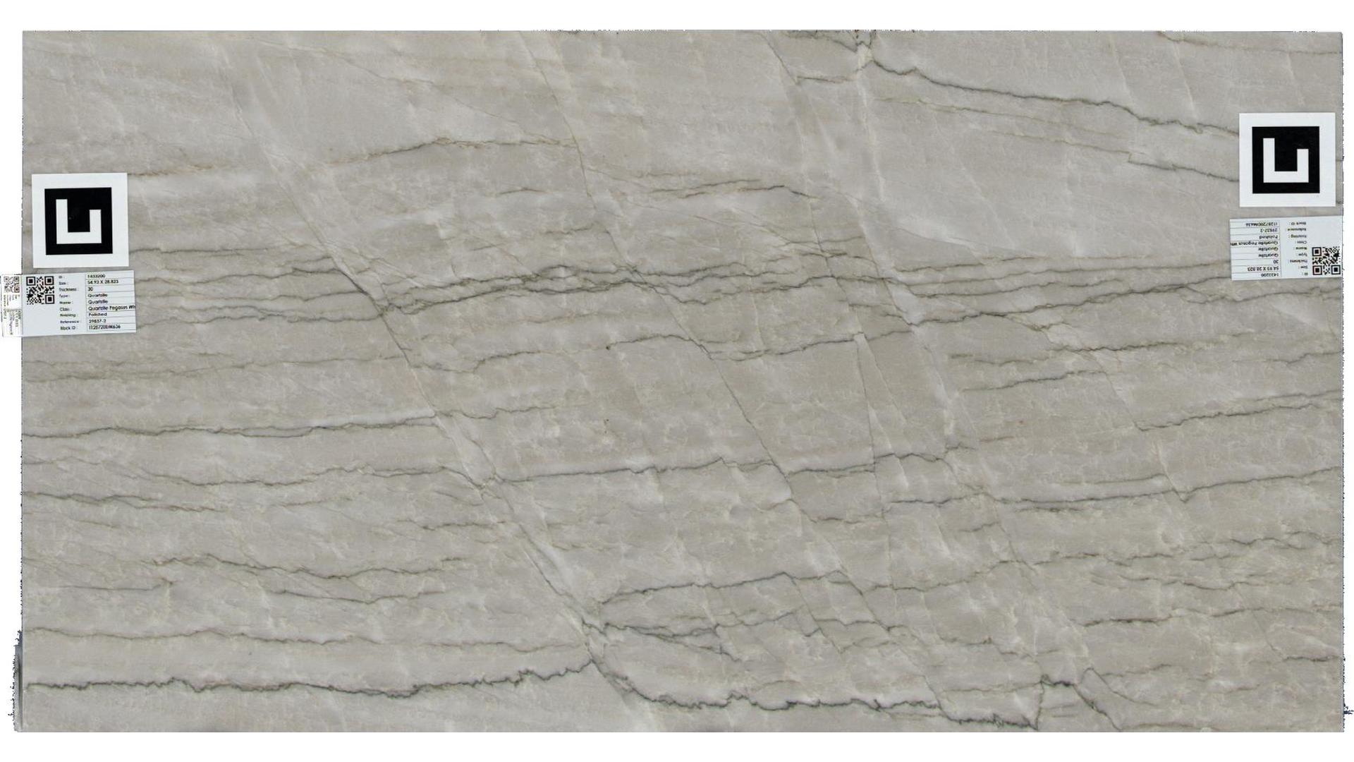 Pegasus White Quartzite Slabs