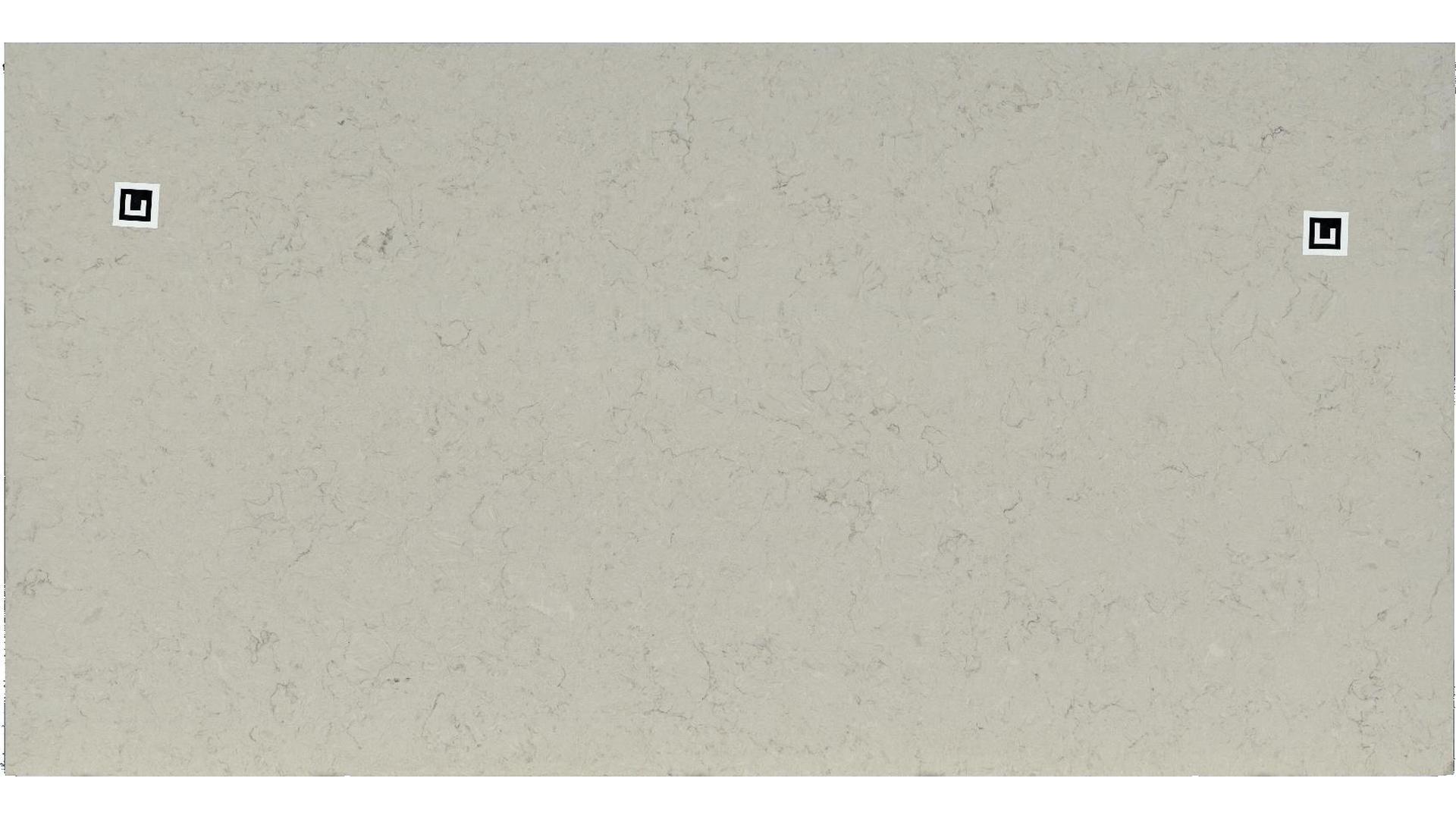 Carrara Mist Porcelain Slabs