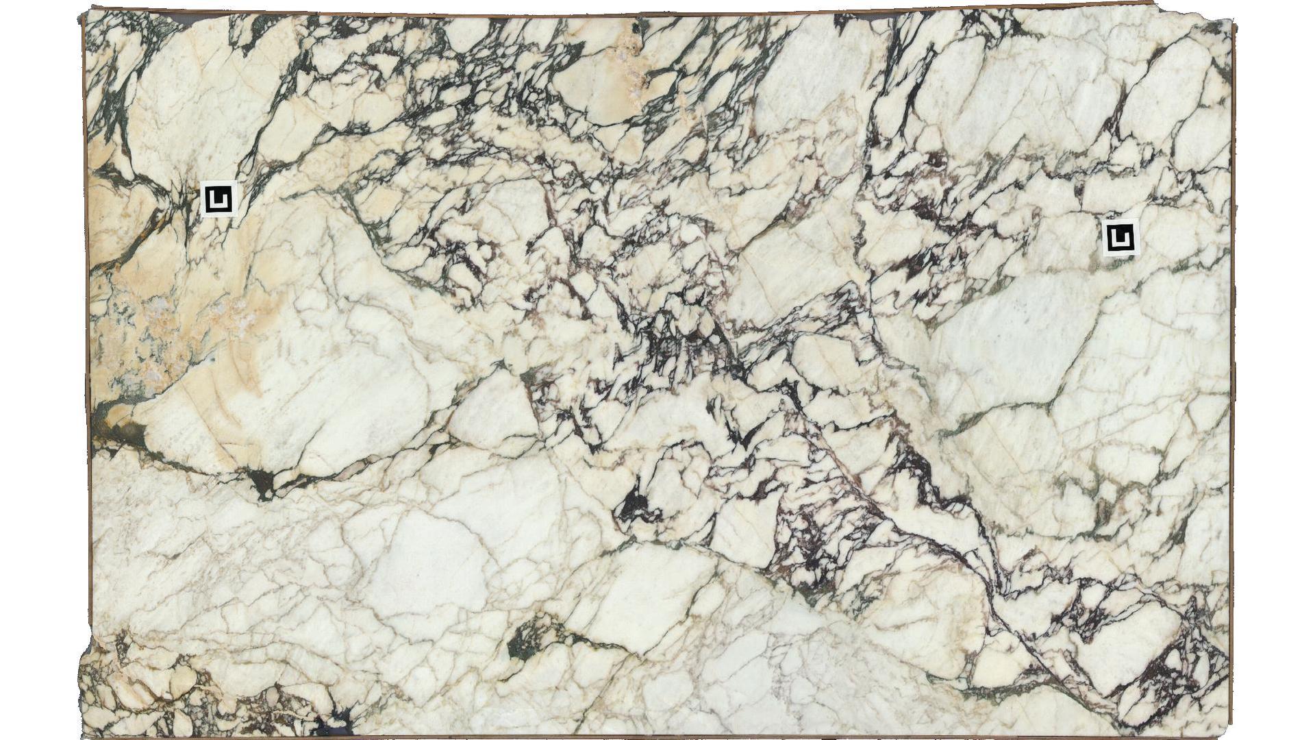 Calacatta Viola Marble Slabs