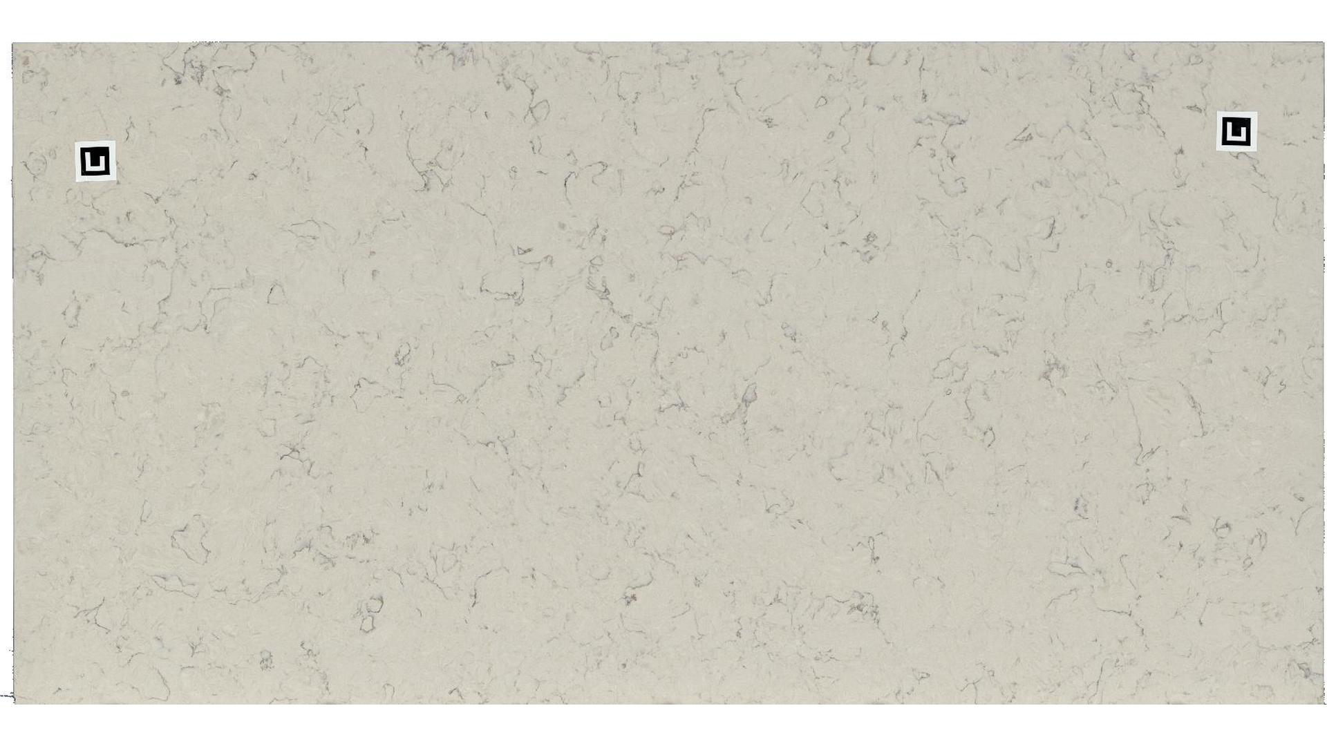 Carrara Mist Porcelain Slabs