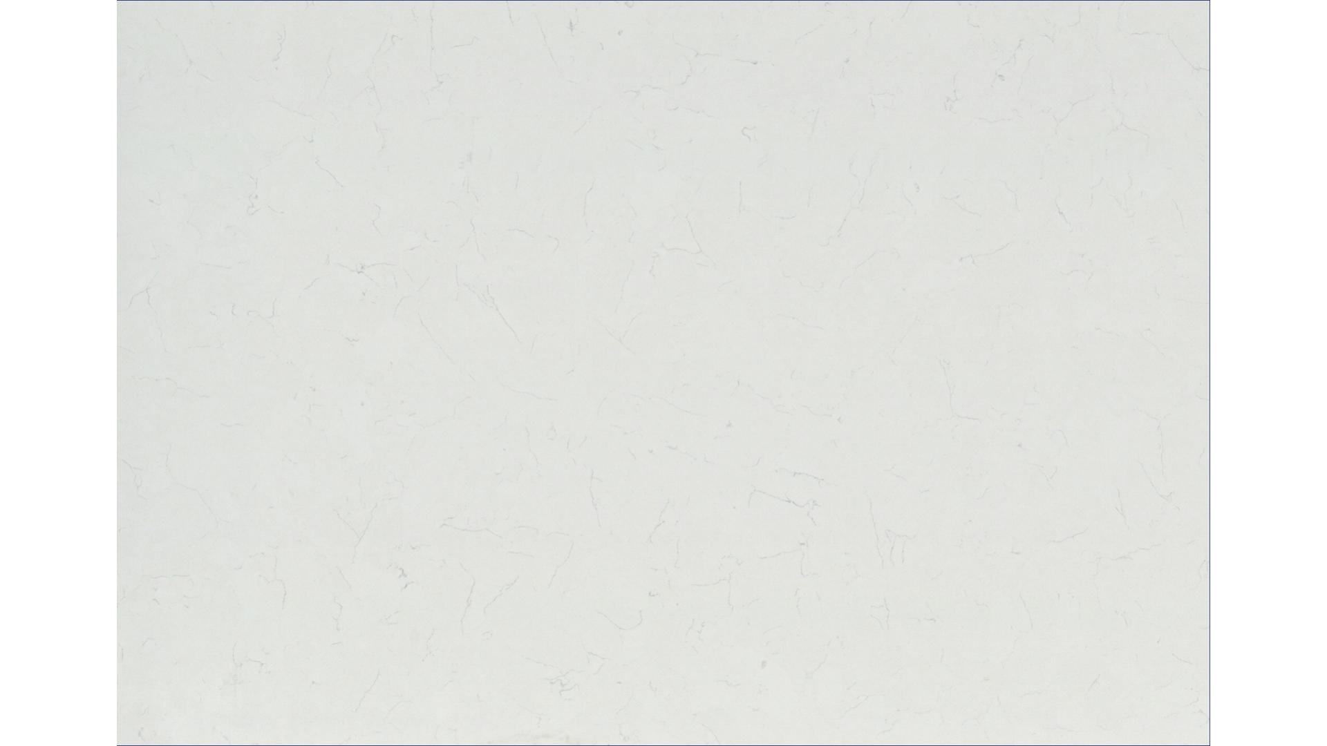 Carrara Morro Porcelain Slabs