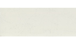 Calacatta Botanica Porcelain