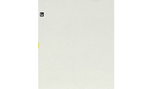 Organic White Quartz