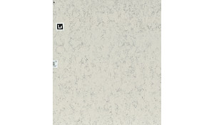 White Arabesque Quartz