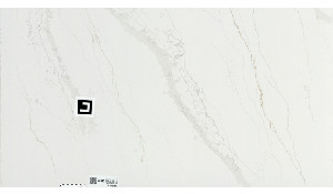 Calacatta Suprema Quartz