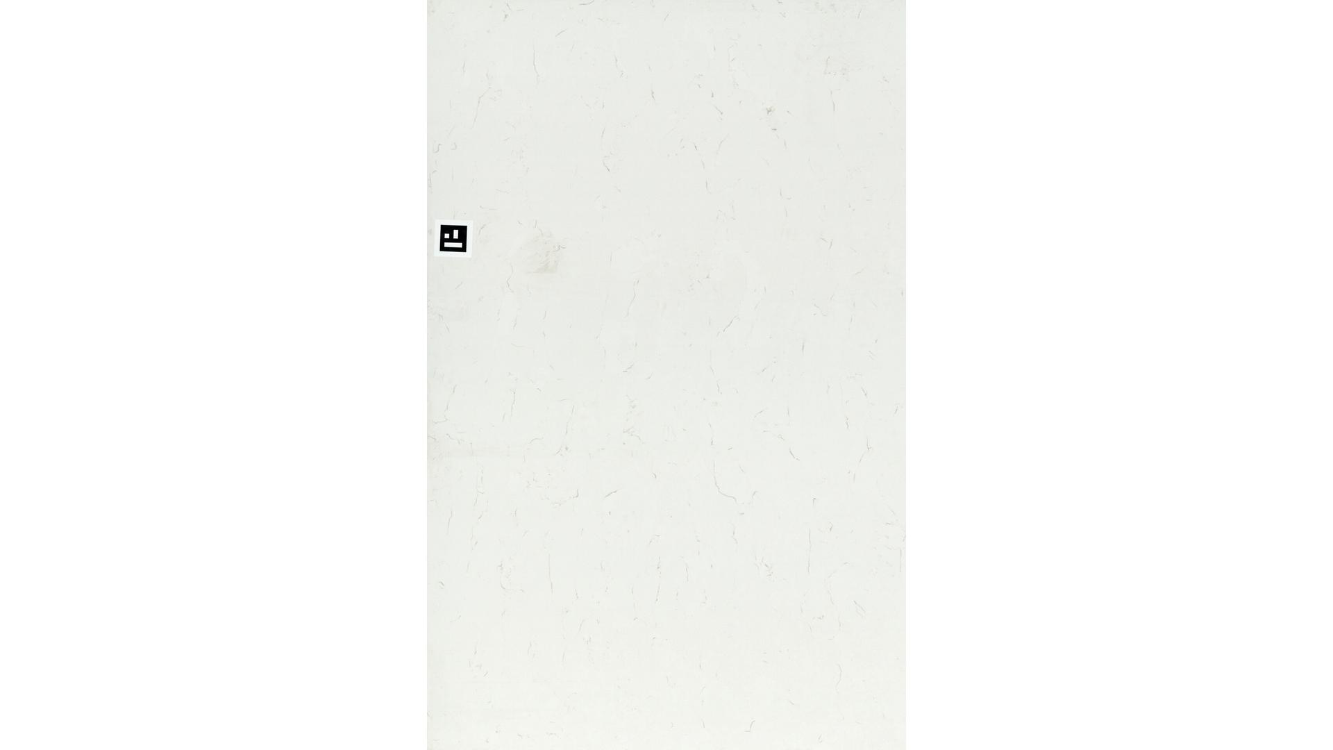 Carrara Trigato Porcelain Slabs