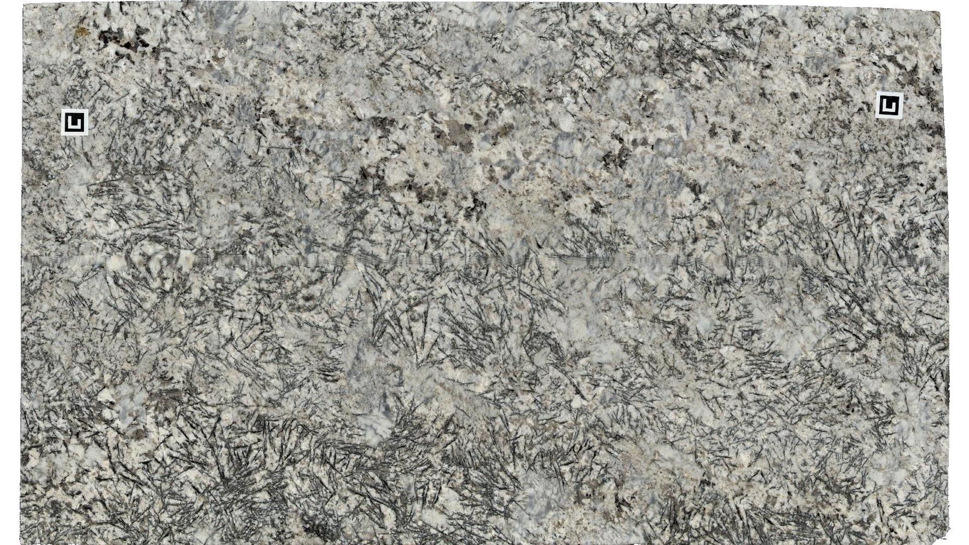Rigel White Granite Slabs