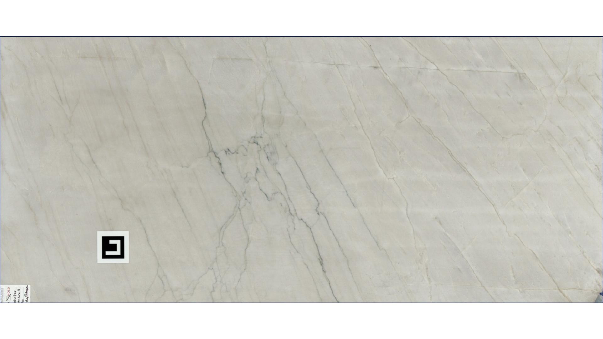 Calacatta Lux Quartzite Slabs
