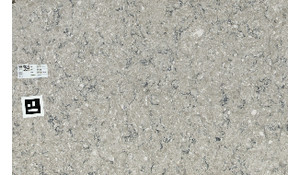 Calacatta Fioressa Porcelain