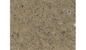 Cambria Bradshaw Quartz