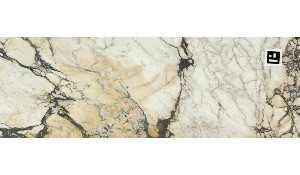 Calacatta Viola Marble