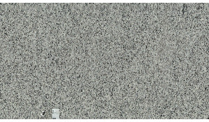 Valle Nevado Granite