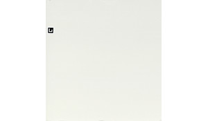 Q Quartz Arctic White Quartz