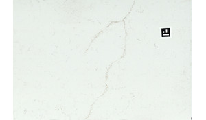 Q Quartz Calacatta Rusta Quartz