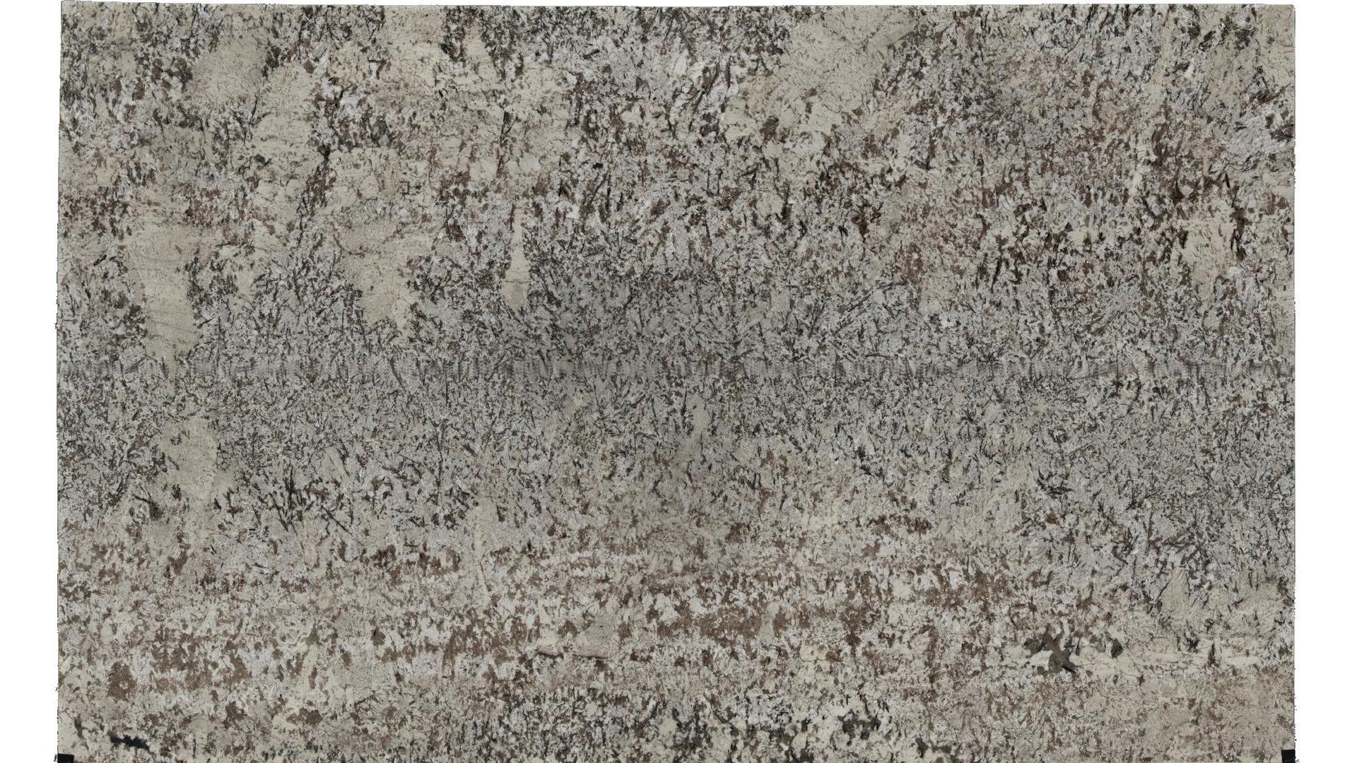 Star White Granite Slabs