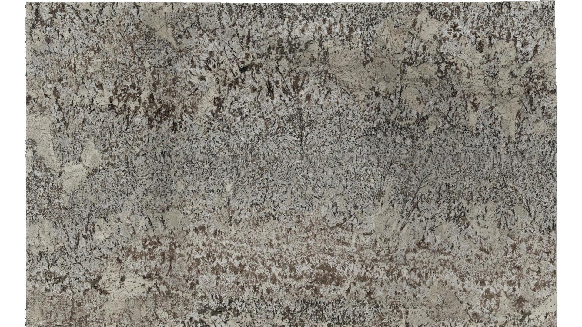 Star White Granite Slabs