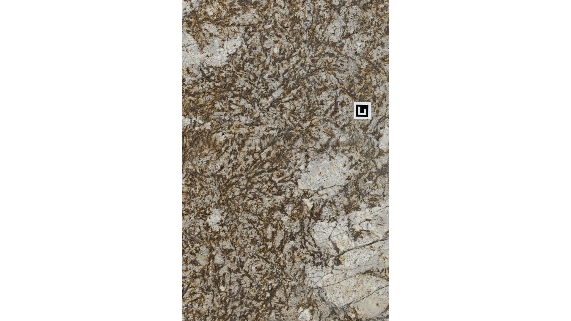 Brown Persa Granite Slabs