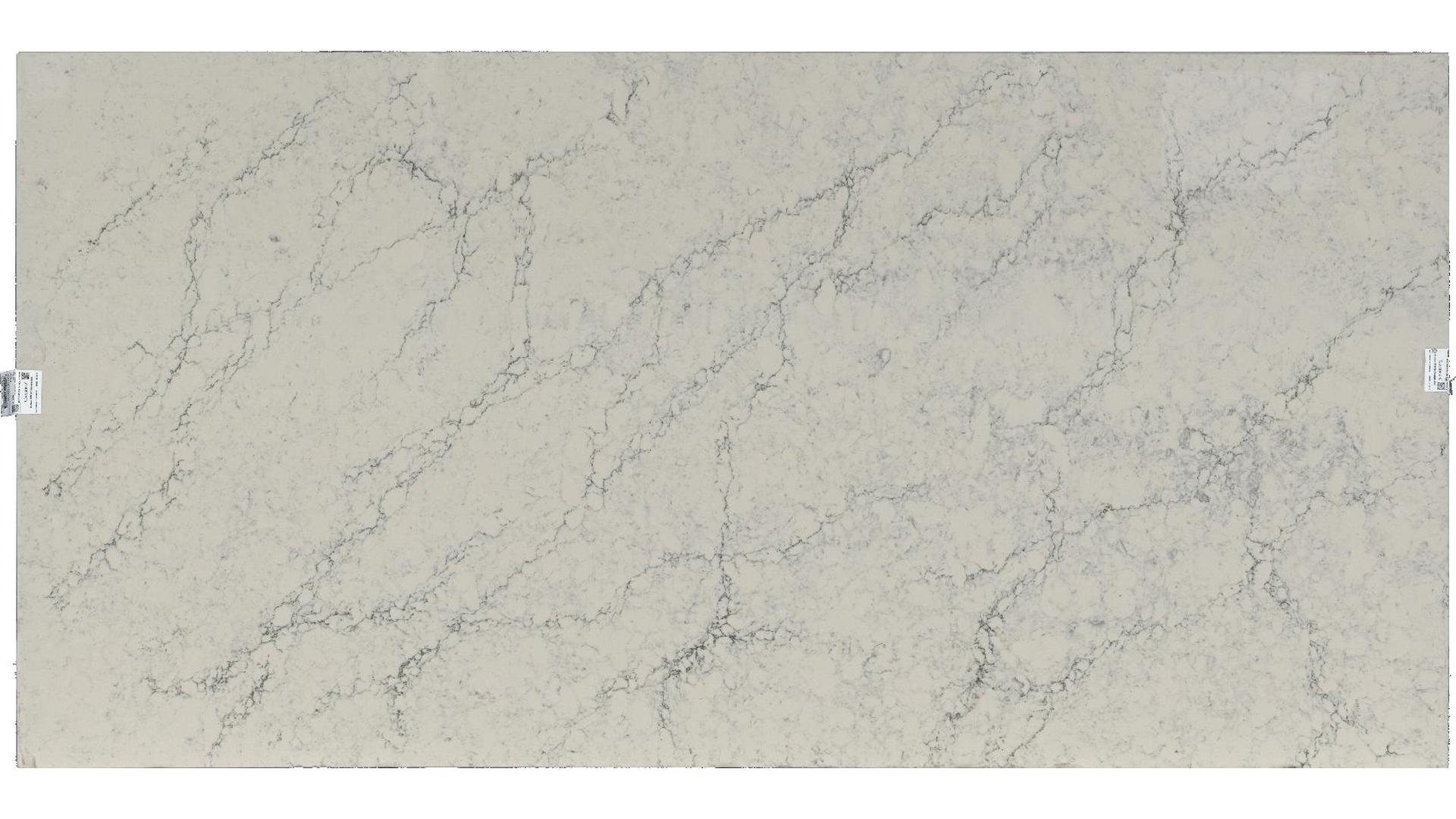 Quartz Shell Beach Quartz Slabs