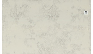 Wilsonart Quartz Altamonte Quartz