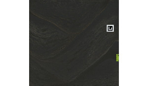 Cambria Remington Brass Quartz