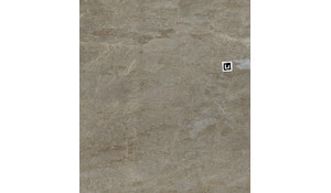 Taj Mahal Quartzite