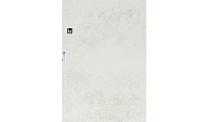 Viatera Nebulo Quartz